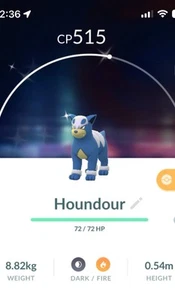Shiny Houndour Pokemon Trade Go Same/30 day Trading PVP Pokémon Houndoom - Picture 1 of 1