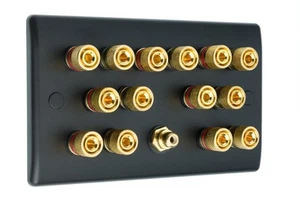 7.1 Matt Black Speaker Wall Face Plate 14 Gold Binding Posts + Single RCA Socket - Picture 1 of 7