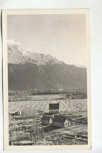 Cartolina foto reale Robinson Matanuska Valley Farm AK R-841 - Foto 1 di 1