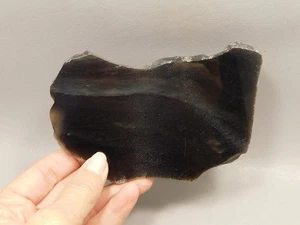 Platinum Obsidian Polished Stone Slab 5.2 inch Davis Creek #O3 - Picture 1 of 9