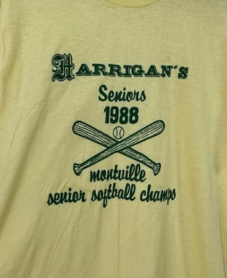 Camisa DE COLECCIÓN Años 80 Para Hombre Grande Stedman Amarilla Puntada Única 1988 Campeones de Softbol Foto 1 de 4