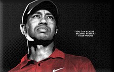 Jigsaw puzzles 504 pcs Tiger Woods Golf Player Sport Gift Home Wall Decoration 