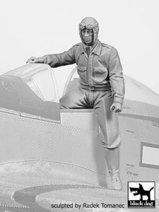 Cabina de salida Black Dog 1/32 USAAF 1940-1945 Segunda Guerra Mundial #4 F32143 - Imagen 1 de 1