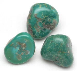 3 Campitos Turquoise Natural Polished Tumbled Nugget LOT Lapidary Nuggets Rocks - Picture 1 of 7
