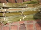 Long leaf pine needles for basket weaving   1 1/2 lb   dried inside  14 to 18'