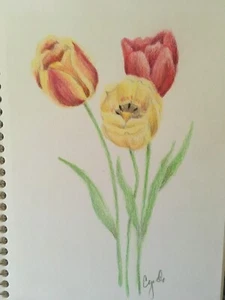 origiial colored pencil drawing tulips - Picture 1 of 1