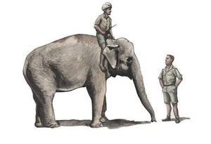 CMK 1/48 WWII RAF Mechanic in India+Elephant with Mahout (2 fig. + elephant) Res - Picture 1 of 1