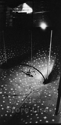 ПОДПИСАННАЯ КАРТИНА DIBOND «ЦИРК IV», СДЕЛАННАЯ ТОП-МОДЕЛЬЮ ХЕЛЕНОЙ КРИСТЕНСЕН - Изображение 1 из 4