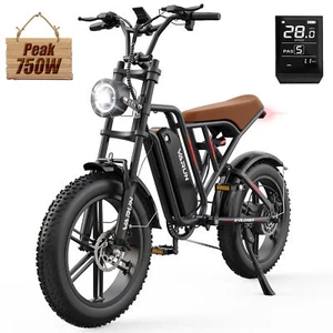 VARUN Electric Bike Peak 750W 20" Fat Tire Adult Mountain E-bike 48V 13Ah LED - Picture 1 of 7