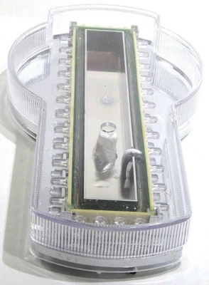 Kenworth Capucha Emblema Luz 32 LED Lente Transparente 8 1/2" Largo Plástico UP#38887 Cada Foto 1 de 4