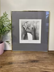 Gary Hodges Signed Asian Elephant Pencil Drawing Limited Edition Print 464/860 - Picture 1 of 10