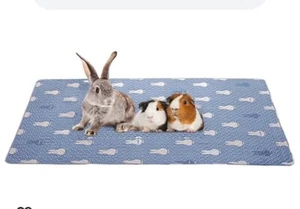 Blue 27.5”x70” Bunny Play Mat - Picture 1 of 4