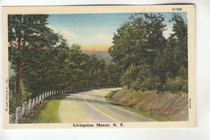 Eine Szene in Livingston Manor NY S-1098 - Bild 1 von 1