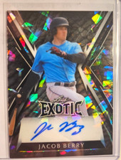 2023 Leaf Exotic Jacob Berry Elephant Crystal Autograph - 2/5