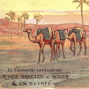 c1913 Hotel Du Rocher Trouville France Marie Brizard Roger Liquor Egypt Postcard - Picture 1 of 3