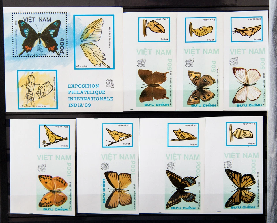 1989 VIETNAM SC#1924-1930 IMPERF.,+PERF.SC#1931 MNH VF BUTTERFLIES - Image 1 of 1