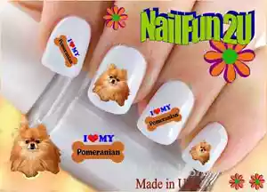 Nail Art 142A RAZZA CANE "Love my Pomeranian" WaterSlide decalcomanie unghie trasferimenti - Foto 1 di 2