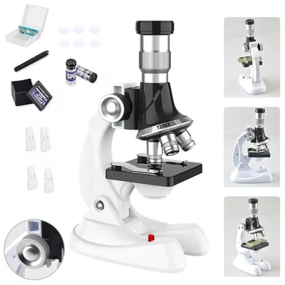 Biological Microscope Upright Optical Microscope 100x, 600x, 1200x Microscope