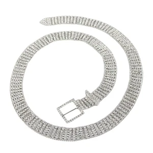 Luxurious Rhinestones Corset Waist Belt for Music Festival and Formal Occasion - Picture 1 of 8