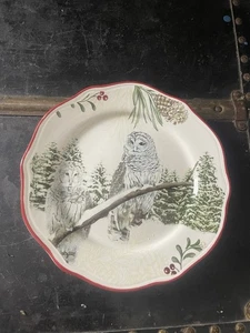 Piatto insalata gufo delle nevi vintage Better Homes & Garden Heritage Collection 8 3/4" - Foto 1 di 2