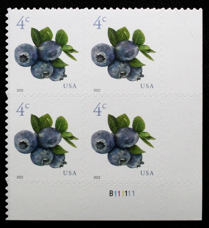 US Plate Blocks Stamps #5652 ~2022 4¢ Blueberries MNH RL36 - Image 1 of 1