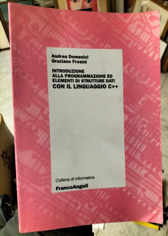 Introduzione alla programmazione ed elementi di strutture dati linguaggio C++ - Immagine 1 di 1