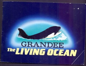 Player Grandee the living Ocean set mounted in Original album 1985  BT2