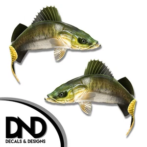 Walleye - Fish Decal Fishing Tackle Box Bumper Sticker "3in SET" F-1100 D& - Picture 1 of 1
