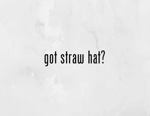 (2x) got straw hat? Sticker Die Cut Decal Vinyl Car Windshield Laptop Tumblr Mug - Picture 1 of 1