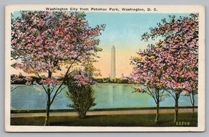 Postcard Washington City from Potomac Park Riverside Drive Cherry Blossoms - Picture 1 of 2