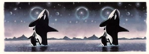 Calcomanía de cerámica envolvente Midnight Orca Whale 1 pieza 8,5 X 3" para tobogán acuático - Imagen 1 de 1