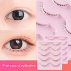 5pairs Whole Pair Eyelash Extension Transparent Stems Eye Makup Tool  Beauty