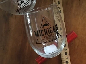 2 Michigan State Stemless Wine Glasses. Set Of Two (D) - Picture 1 of 3