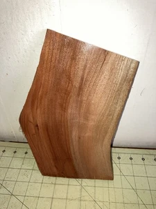 One Piece Hawaiian Crepe Myrte ~ 10 1/3" x 6 1/3" x 1/2" (#605) - Bild 1 von 4