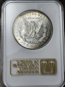 1878-S $1 NGC MS-61 CAC 3.0 Gold Embossed Fatty Morgan Silver Dollar - Picture 1 of 4