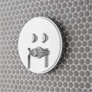 Signature Hardware 948973 Simple Select Valvola doccia bilanciamento pressione a 2 vie - Foto 1 di 10