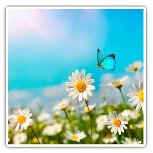 2 x Square Stickers 7.5 cm - Chamomile Flowers Blue Butterfly Cool Gift #16971 - Afbeelding 1 van 9