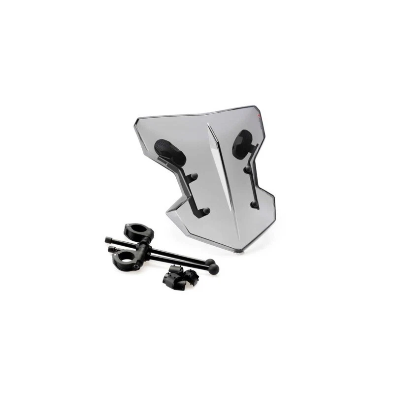 CUPOLINO UNIVERSALE FLANKER PUIG PER BMW S 1000 R 2017 2020 FUME CHIARO 20334H