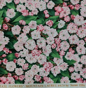 Northcott Fabrics The State Stoff Mountain Laurel Ct PaCotton Quilt 1/2 Yd - Bild 1 von 1