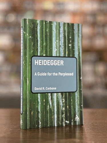 Heidegger: A Guide for the Perplexed (Guides for the Perplexed ...