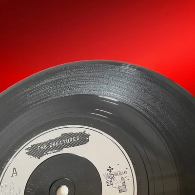 The Creatures - Right Now - 7" Vinyl Single EX 1983 Wonderland Polydor SHE2 - Image 1 of 4