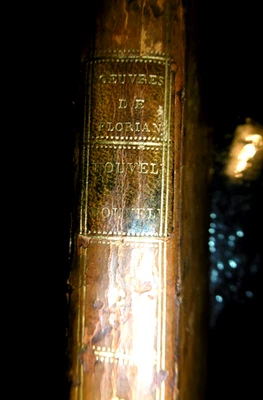 NOUVELLES NOUVELLES de FLORIAN-1792-6 GRAVURES H-T de F.M. QUEVERDO-RELIE- - Photo 1/4