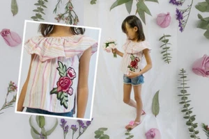 Pink Stripes Off Shoulder Cotton Blouse - Picture 1 of 7