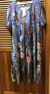 NWT DRESS Floral Cosmos Short Sleeve 1X  Below Knee BOHO Empire Flare Festival - Picture 1 of 18