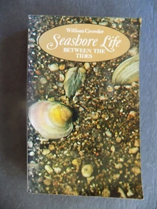 SEASHORE LIFE BETWEEN THE TIDES - Picture 1 of 19
