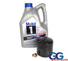 Fits Escort Sapphire Cosworth - Mobil1 5ltr Engine Oil with Genuine Ford Filter