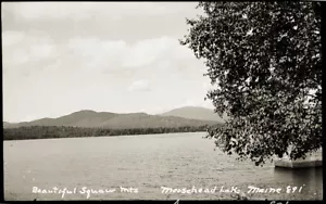 EARLY 1900s POSTCARD FILM NEGATIVE, "BEAUTIFUL SQUAW MTS. MOOSEHEAD LAKE. #891" - Picture 1 of 1