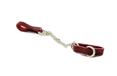 Casa Delle Bambole Rosso Cane E Cavo Guinzaglio Mano Fatto Miniatura Accessorio - Immagine 1 di 4