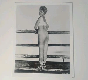 Actriz Sue Ane Langdon por Fence 8x10 blanco y negro fotografía actriz pin up - Imagen 1 de 1