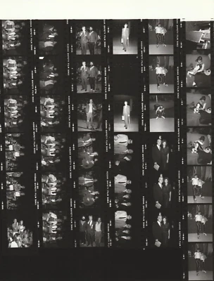 Contact Photo Sheet & Negatives Danielle Brisebois Betty White Mull Cheech Chong - Image 1 of 2